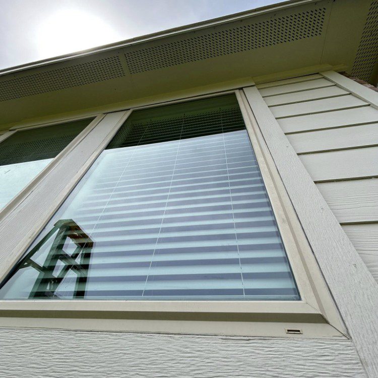 Window & Glass in Magnolia